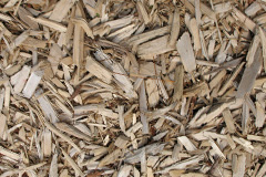 biomass boilers Llanwnog