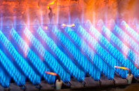 Llanwnog gas fired boilers
